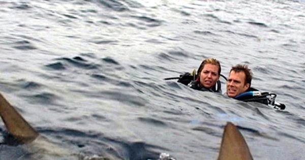 《大白鲨》上映50周年之际，史上最吓人的10部鲨鱼题材电影盘点